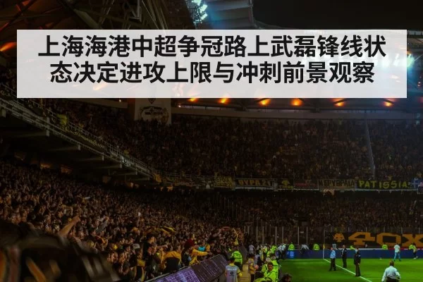 soccer stadium crowd night